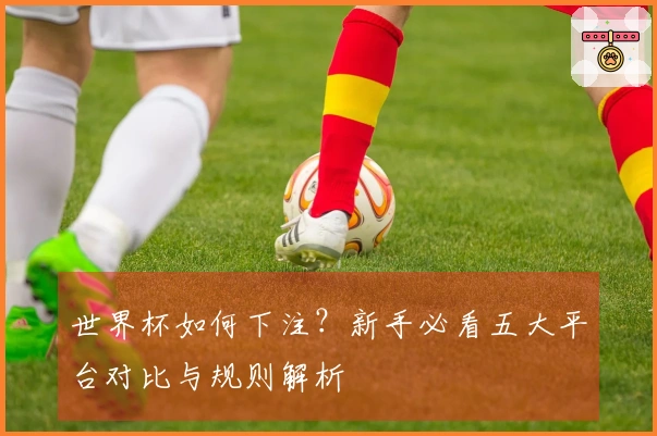 世界杯如何下注？新手必看五大平台对比与规则解析